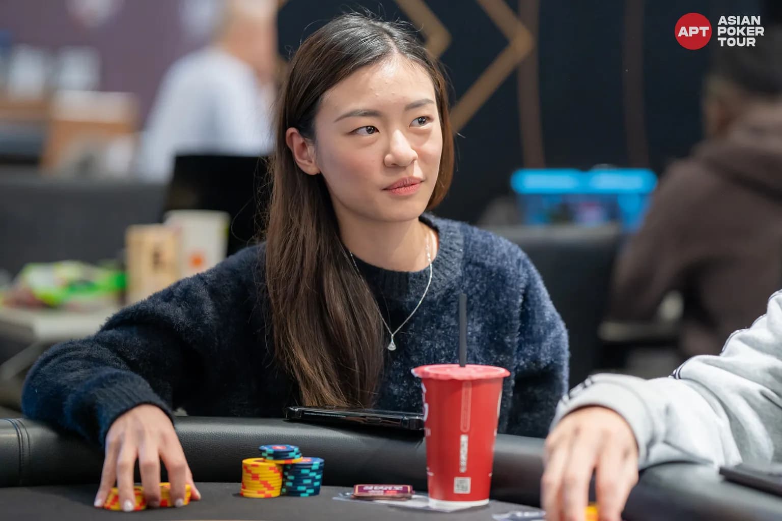 APT tournament gallery images