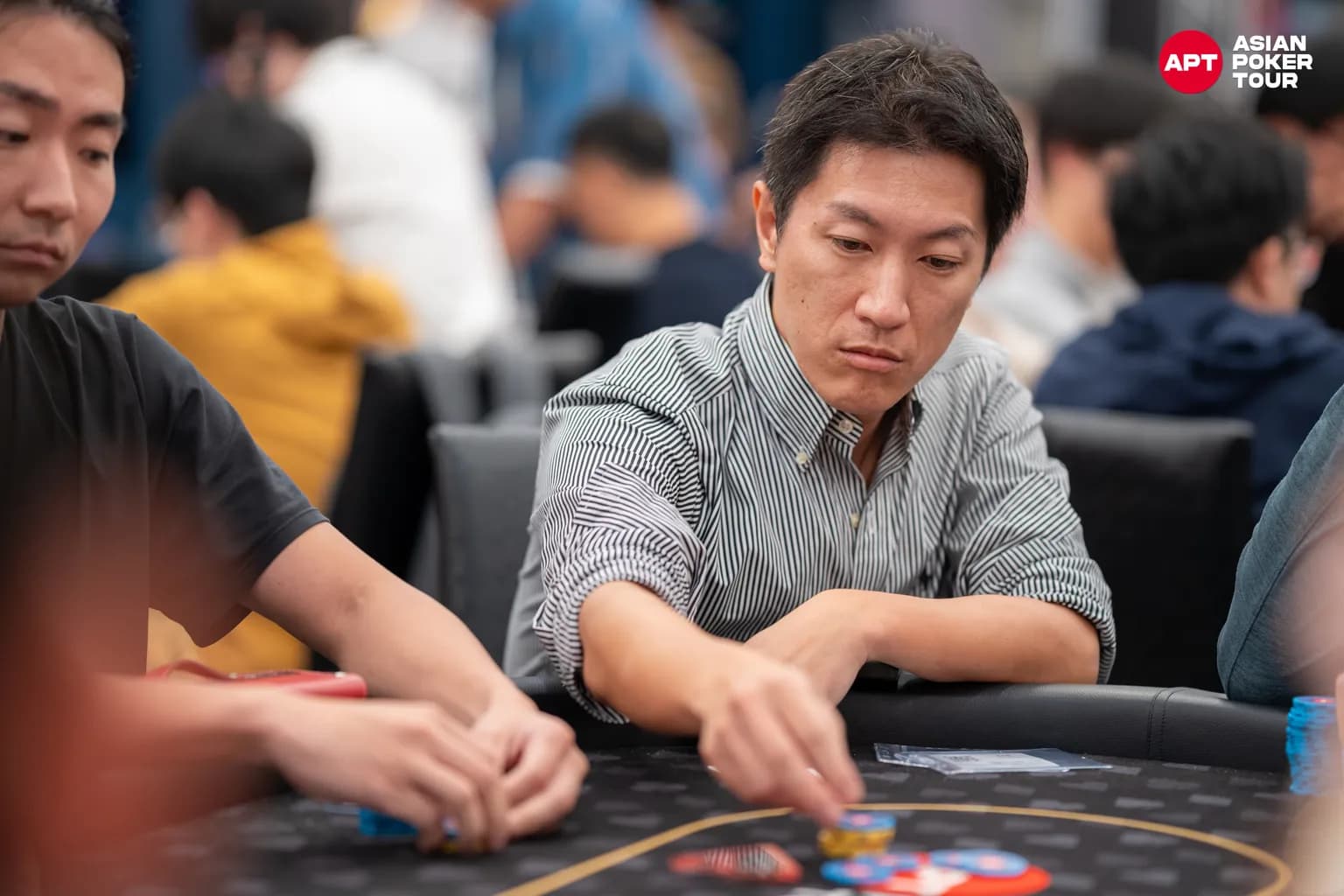 APT tournament gallery images